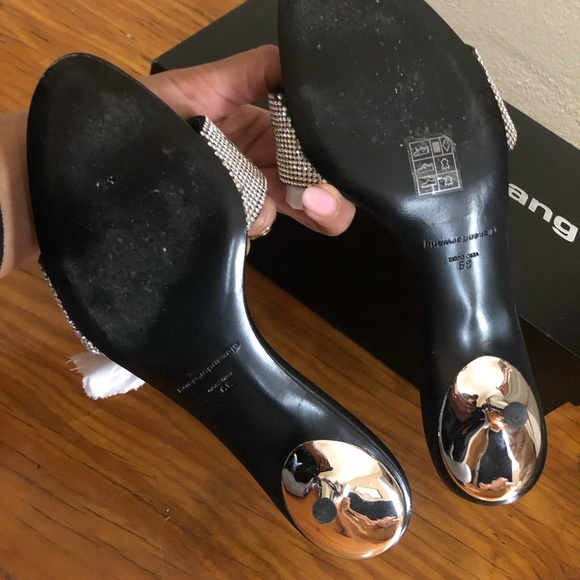 Alexander Wang Crystal Sandal - Picture 5 of 5